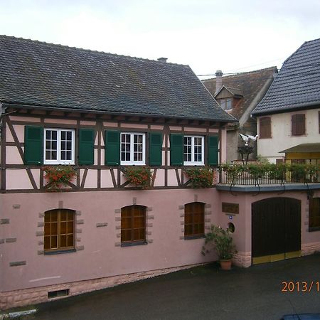 Gite Au Nid De Cigognes Villa Dieffenthal Bagian luar foto