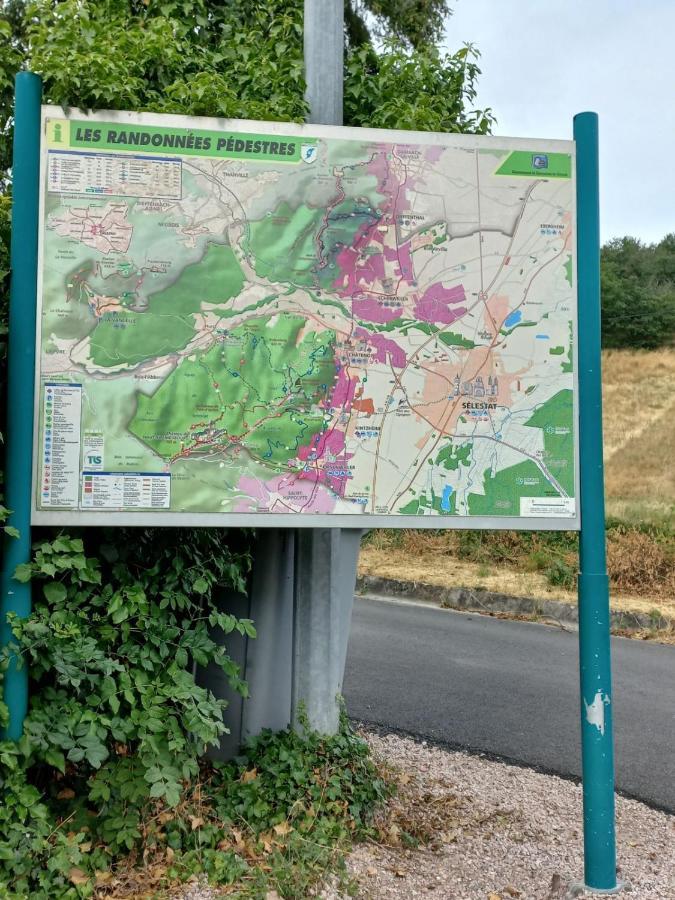 Gite Au Nid De Cigognes Villa Dieffenthal Bagian luar foto