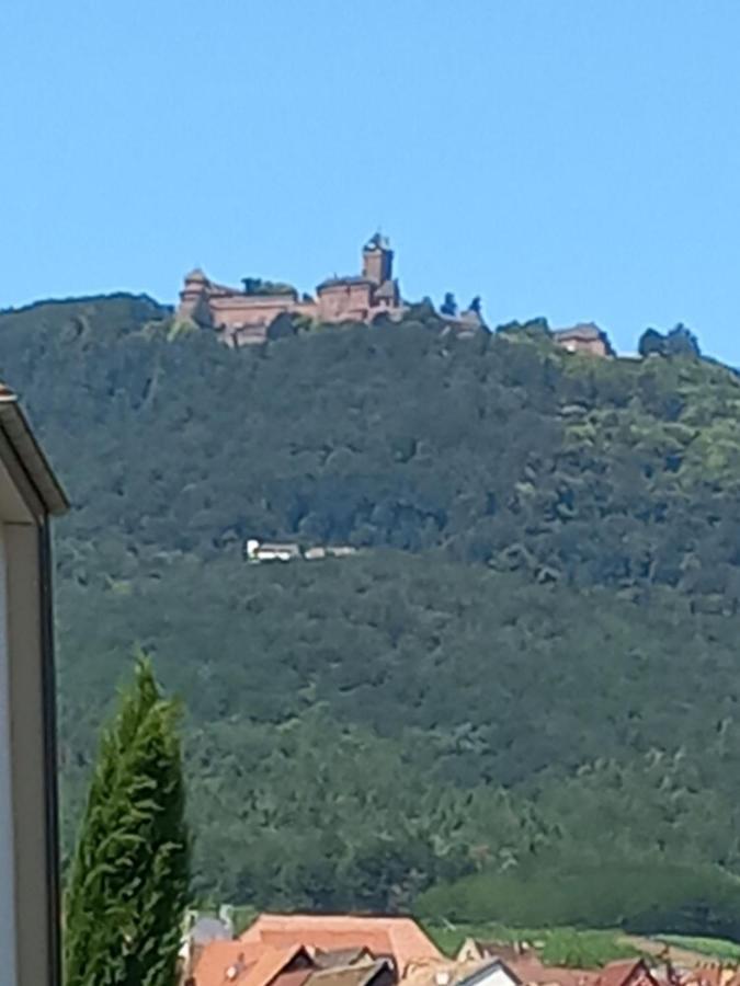 Gite Au Nid De Cigognes Villa Dieffenthal Bagian luar foto
