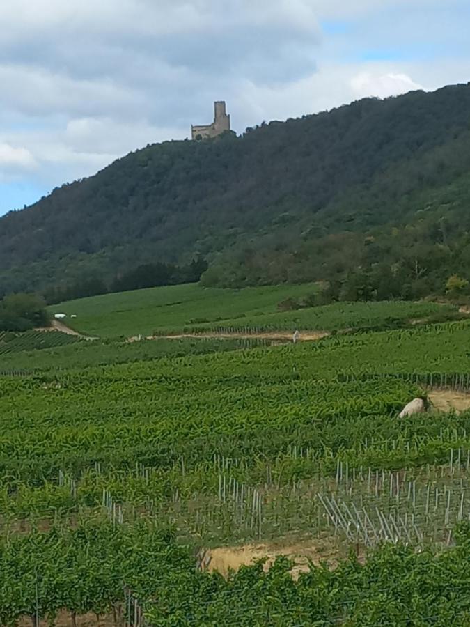 Gite Au Nid De Cigognes Villa Dieffenthal Bagian luar foto