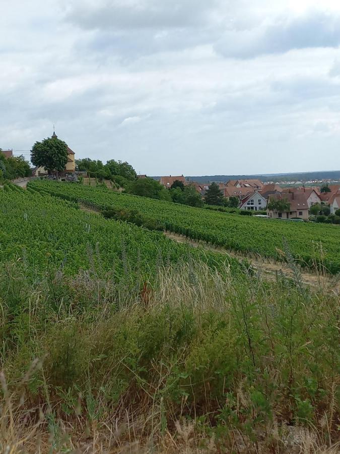 Gite Au Nid De Cigognes Villa Dieffenthal Bagian luar foto