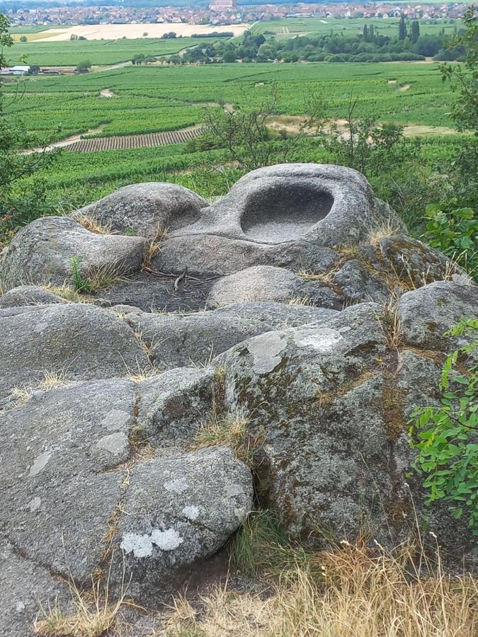 Gite Au Nid De Cigognes Villa Dieffenthal Bagian luar foto
