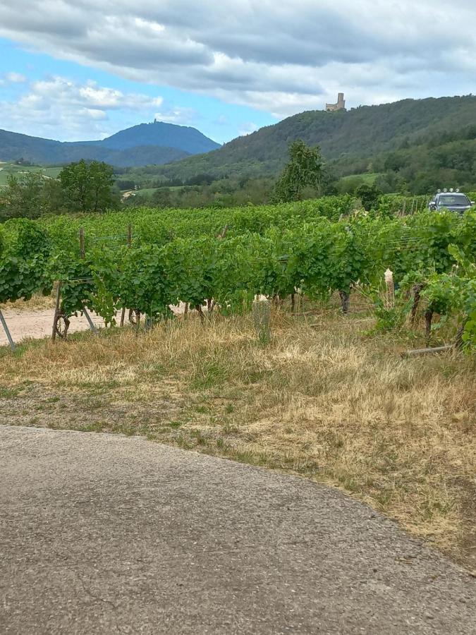 Gite Au Nid De Cigognes Villa Dieffenthal Bagian luar foto