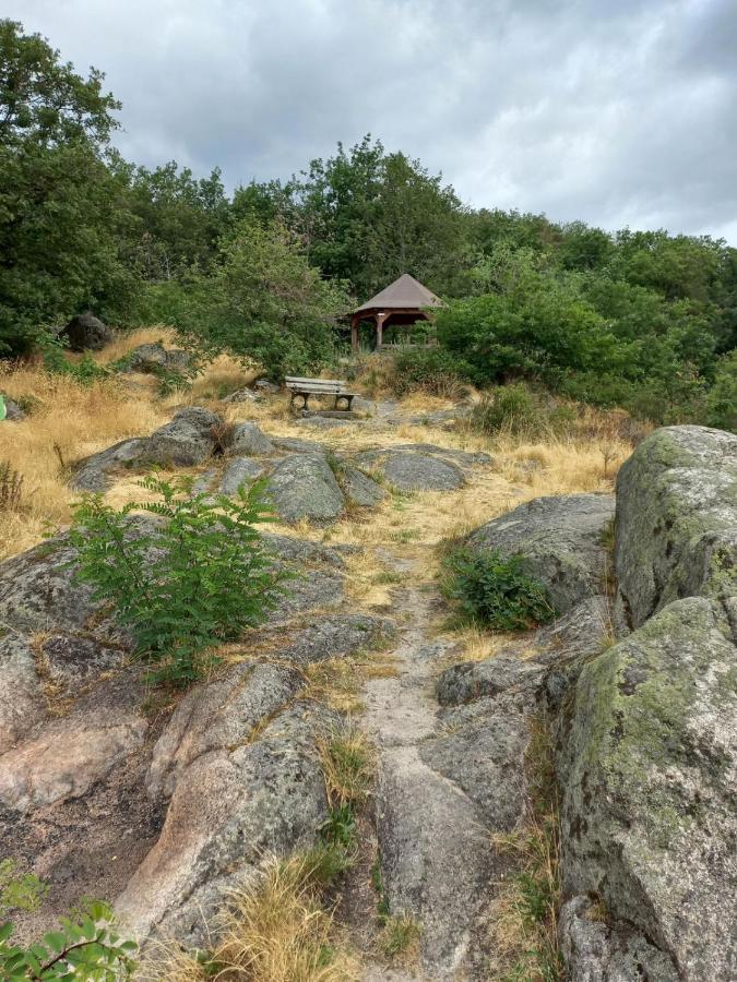 Gite Au Nid De Cigognes Villa Dieffenthal Bagian luar foto