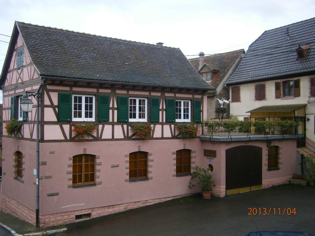 Gite Au Nid De Cigognes Villa Dieffenthal Bagian luar foto